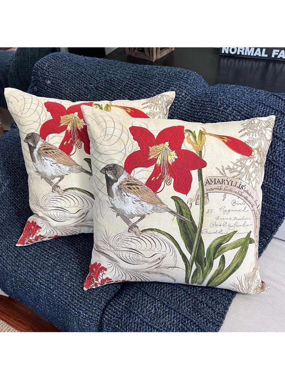 2 POTTERY BARN Amaryllis LINEN Cotton 24" SQUARE Pillow COVERS Bird Berry Floral